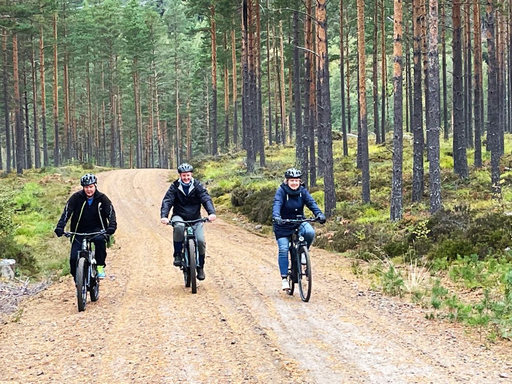 3 people on a bike ride through the forest in Drangedal