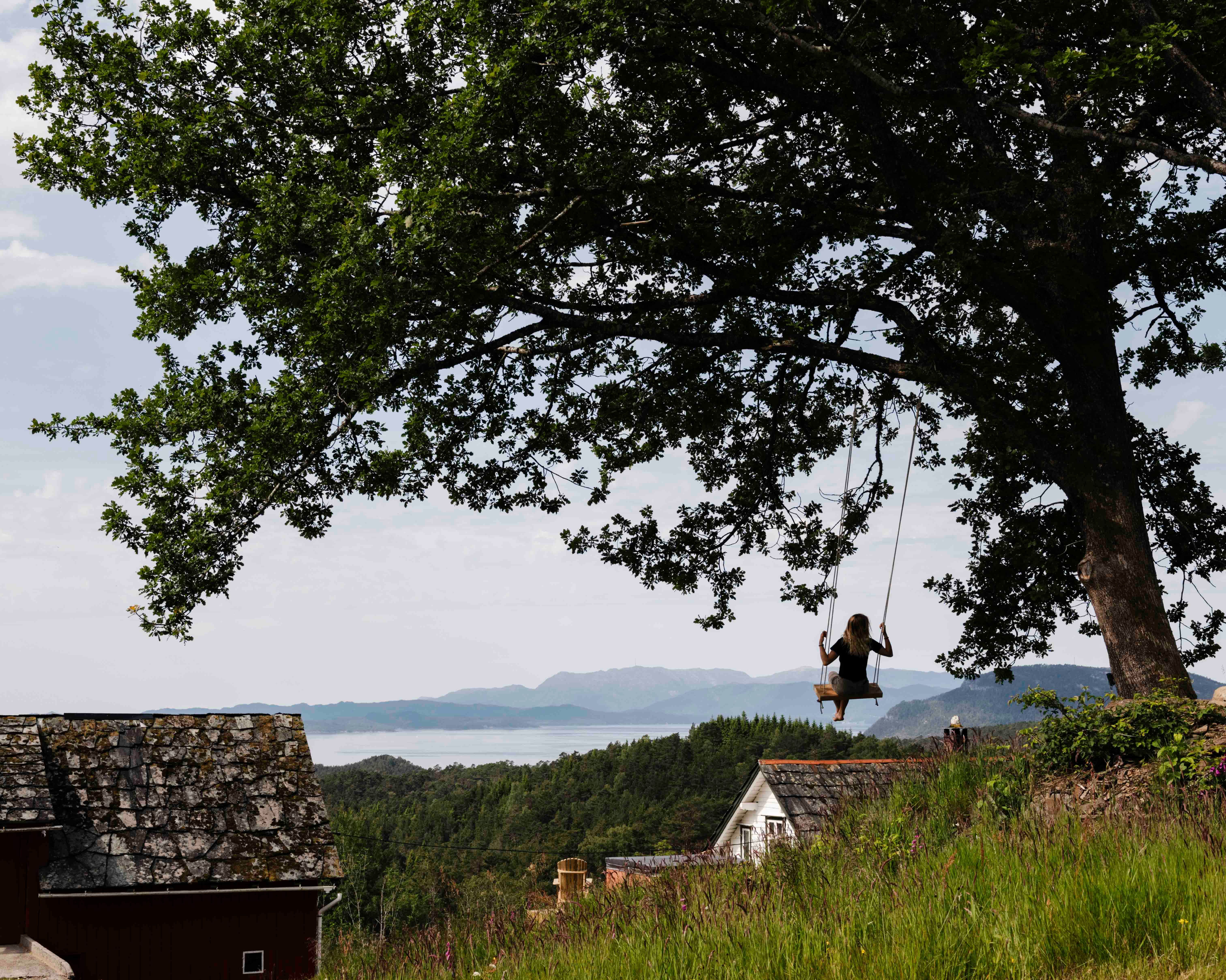 Swinging from an oak tree with views of the Hardangerfjord at Stigen Fjordlodge.
