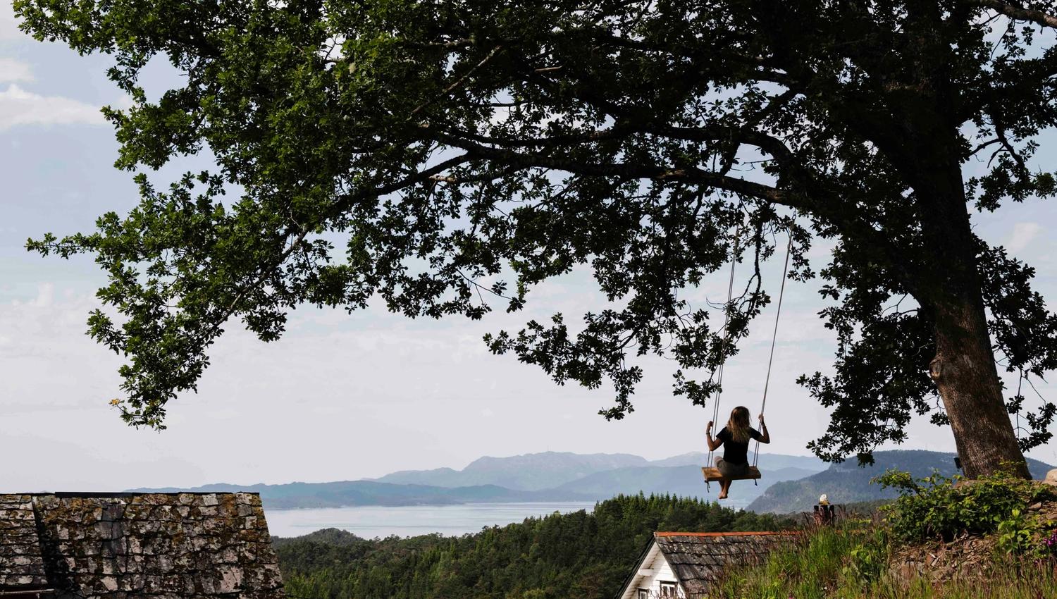 Swinging from an oak tree with views of the Hardangerfjord at Stigen Fjordlodge.