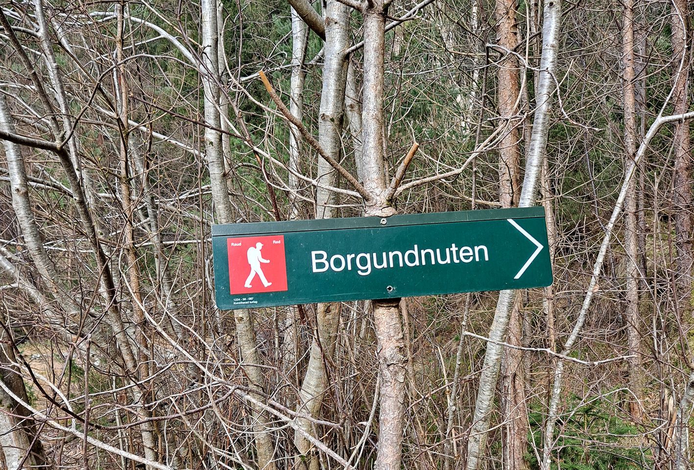 Merking på veg mot Borgundnuten