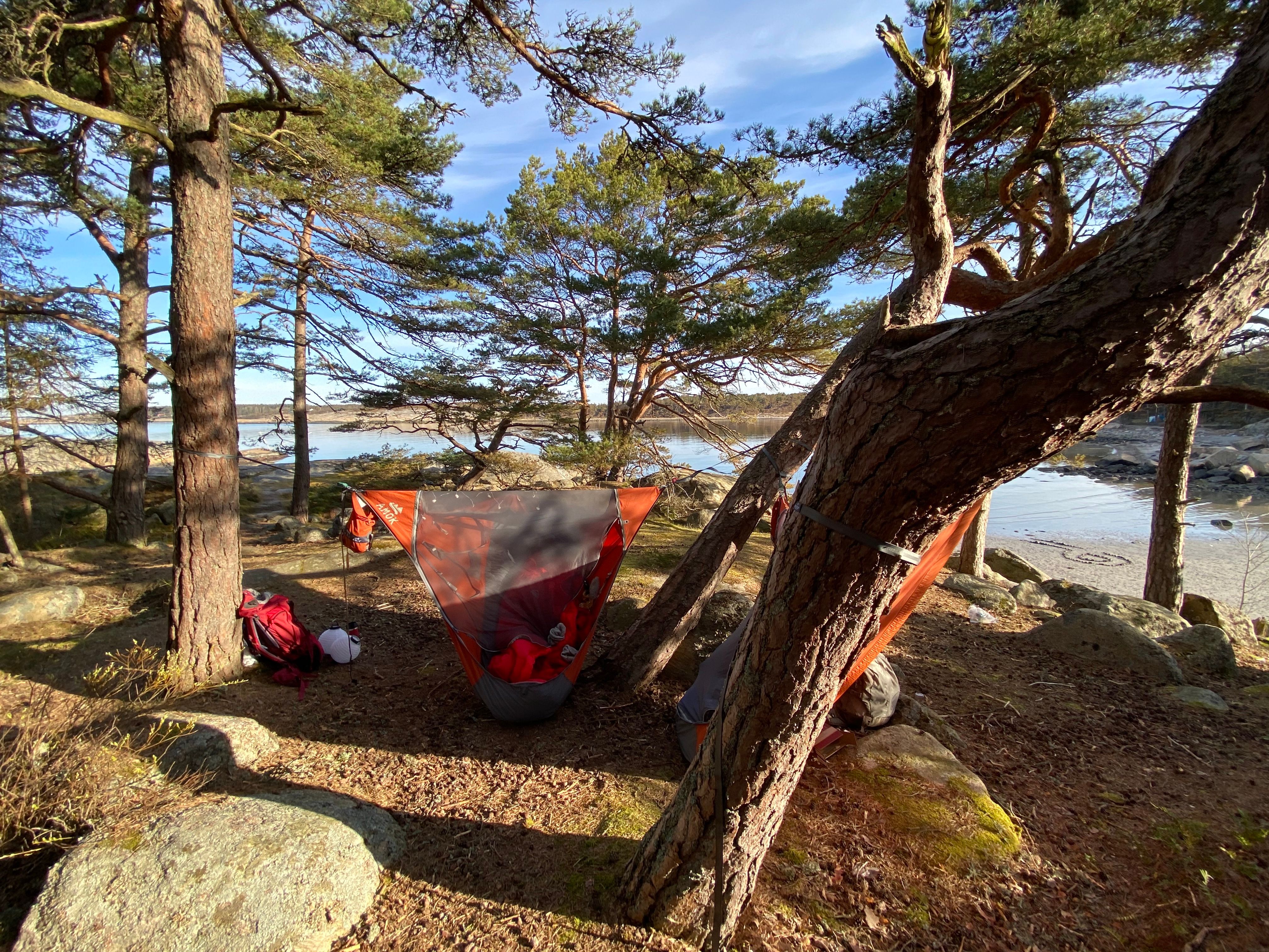 Hegekøye på Storesand på Hvaler