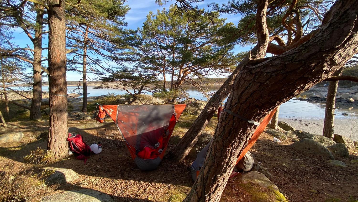 Hegekøye på Storesand på Hvaler