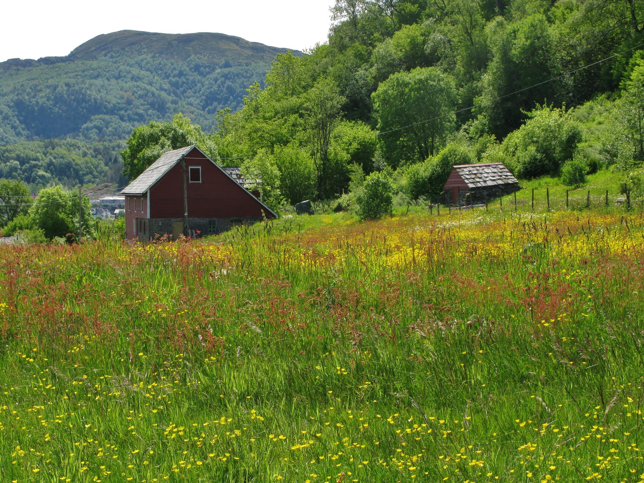 Tur til Indre Ve - Korsfjorden