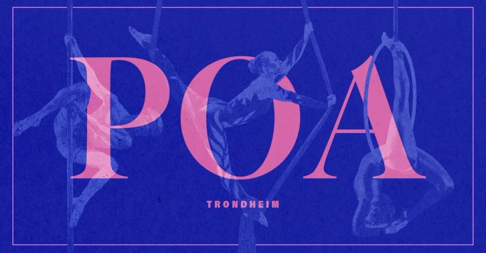 Pole Dance class for Kulturnatt