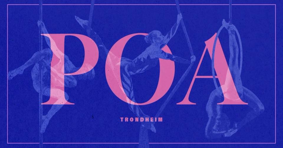 Pole Dance class for Kulturnatt