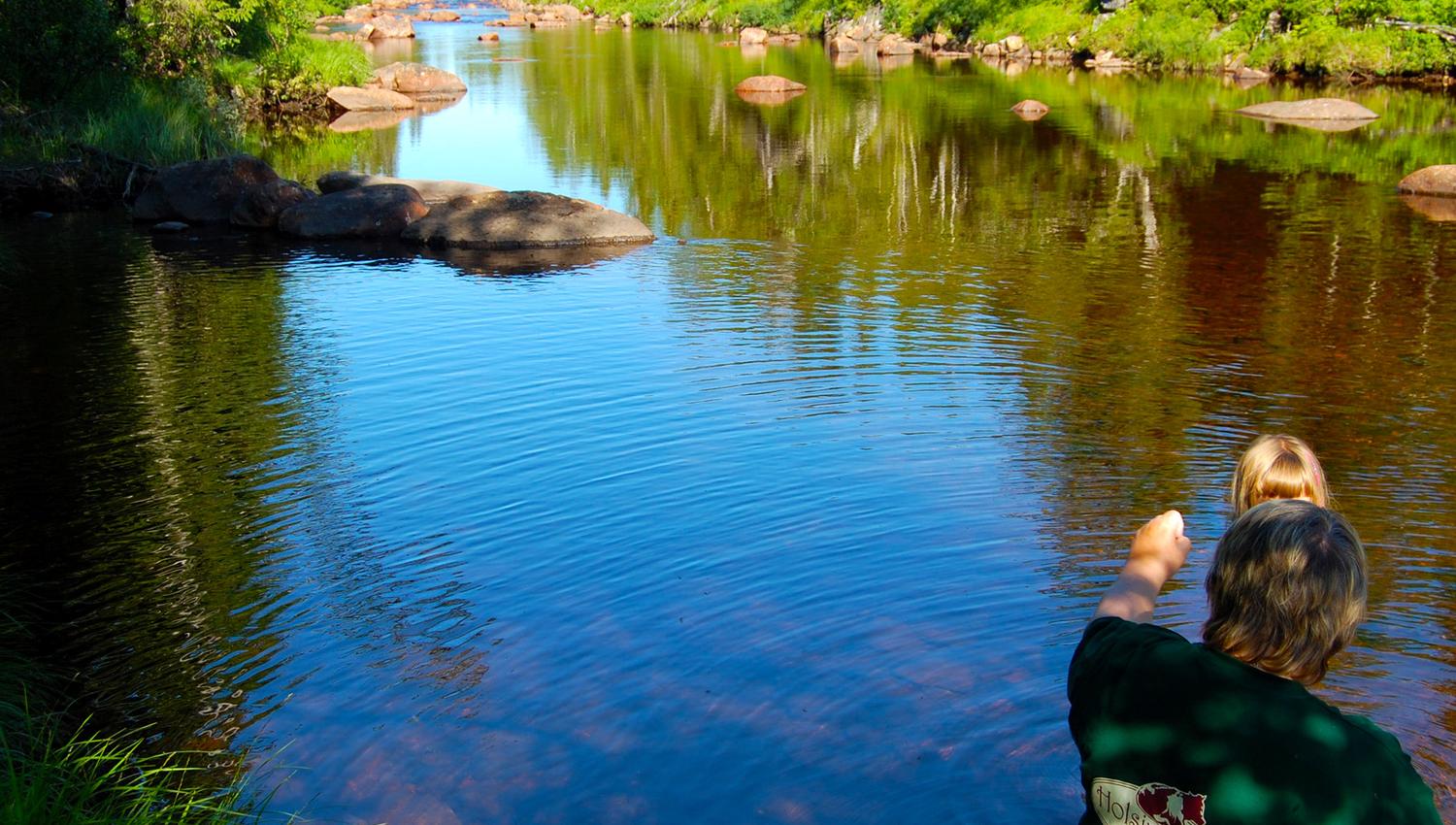 River close to Holsingseteren summer mountain farm in Snåsa