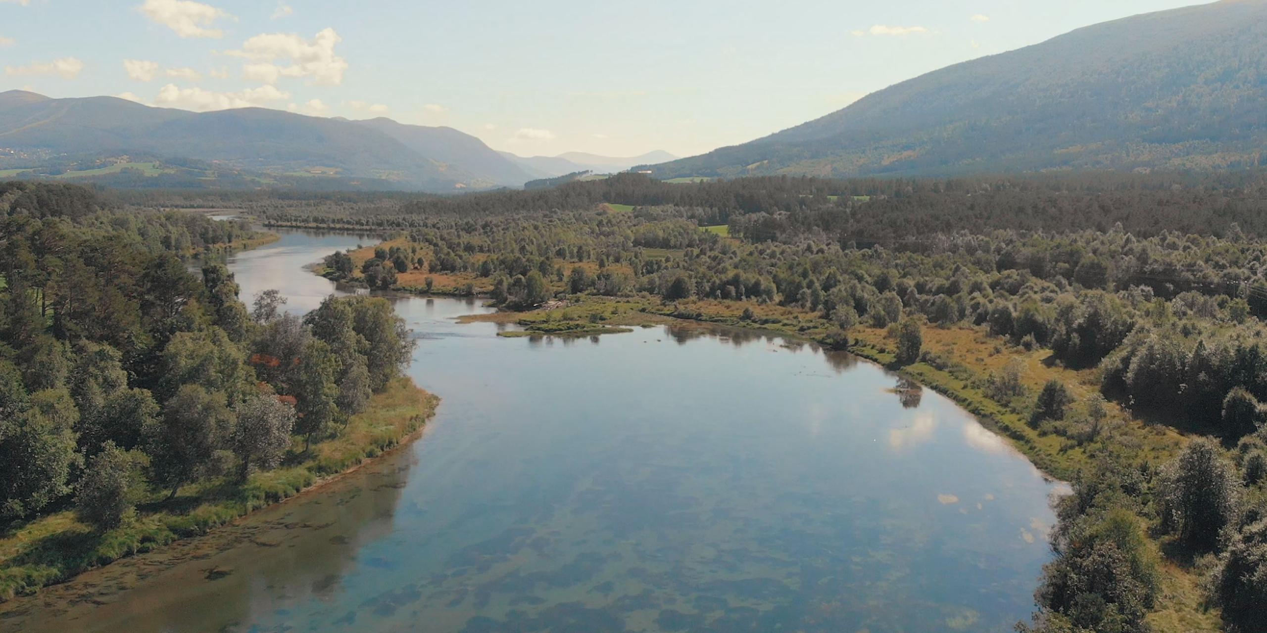 Fly fishing in Lesja