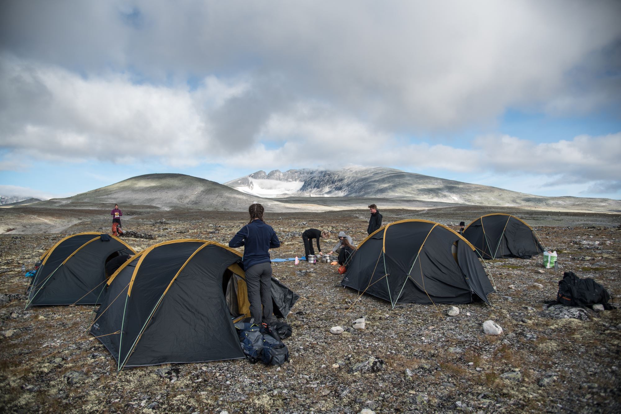Musk Ox Safari Personal Tour, 2 days