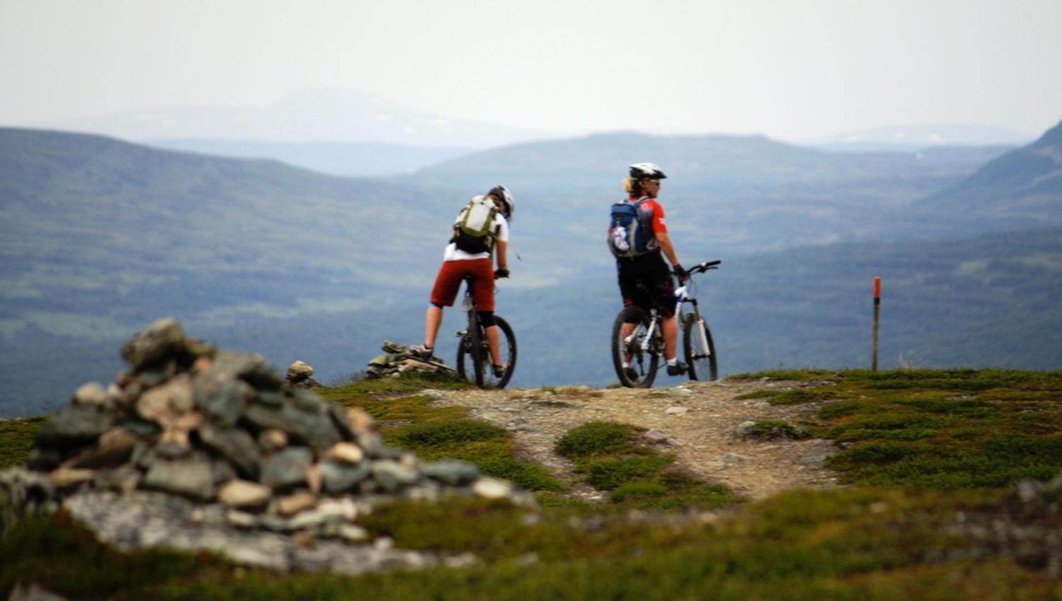 Mountainbike