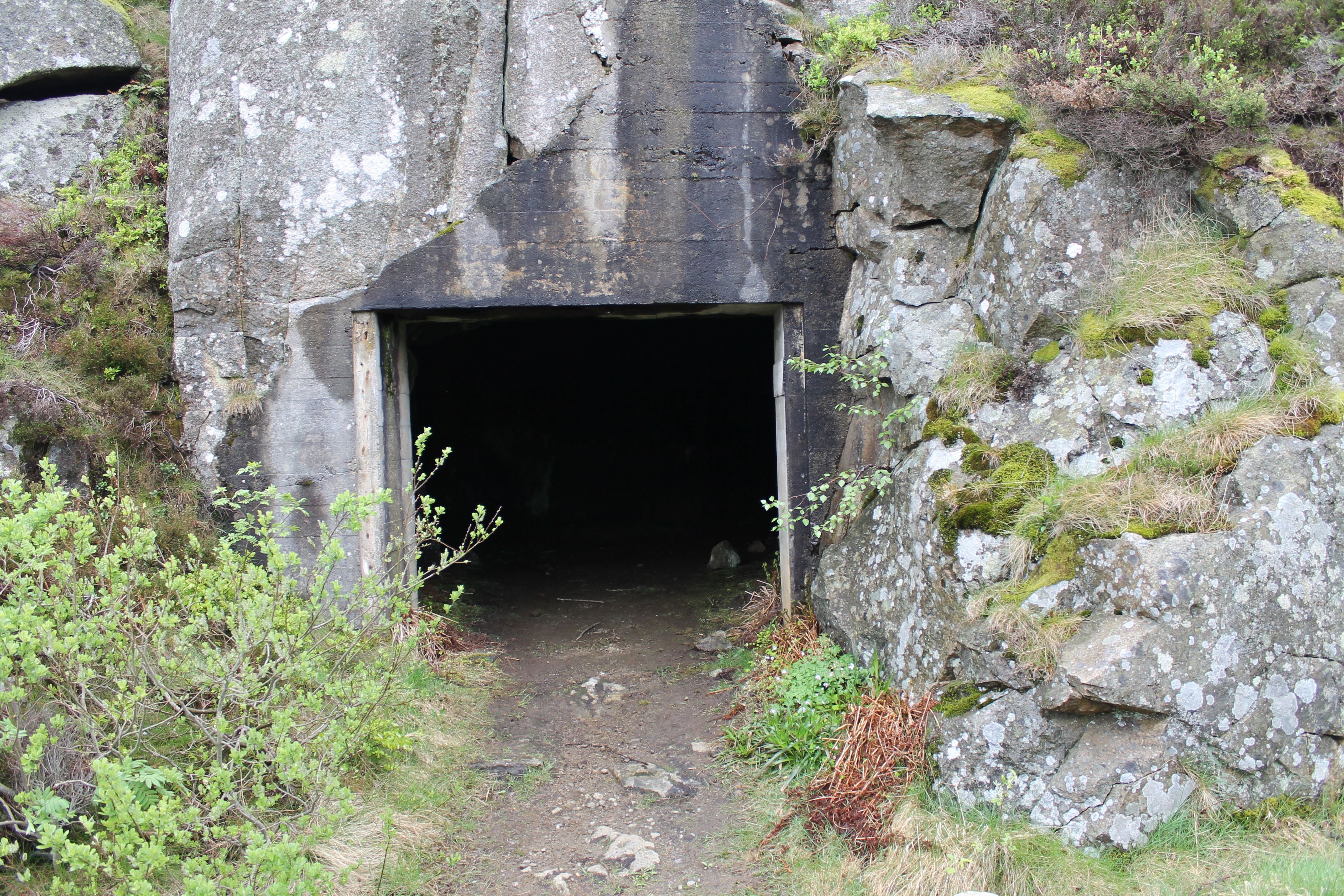 Hausvikodden fort