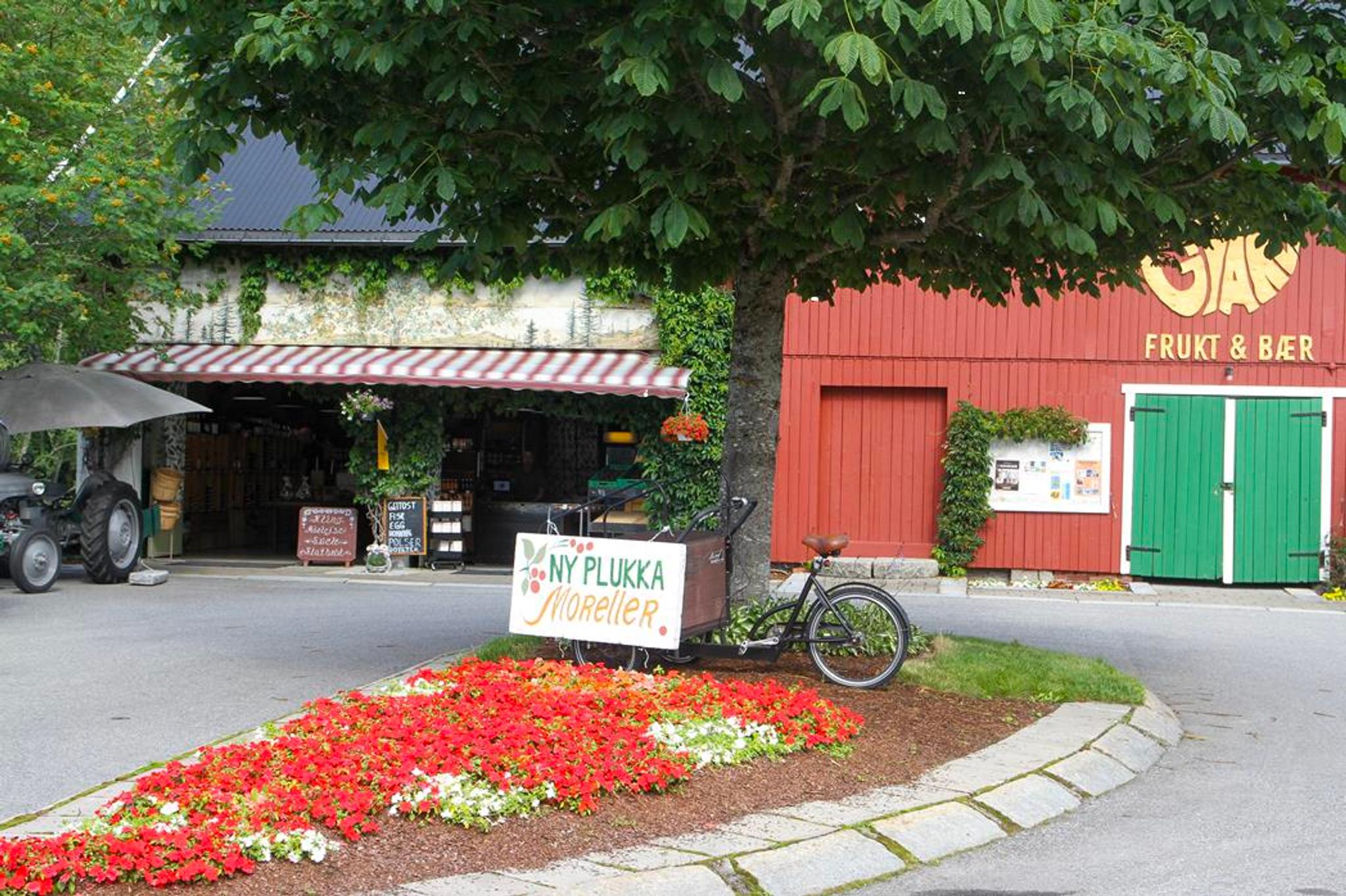 Gvarv Frukt & Bær