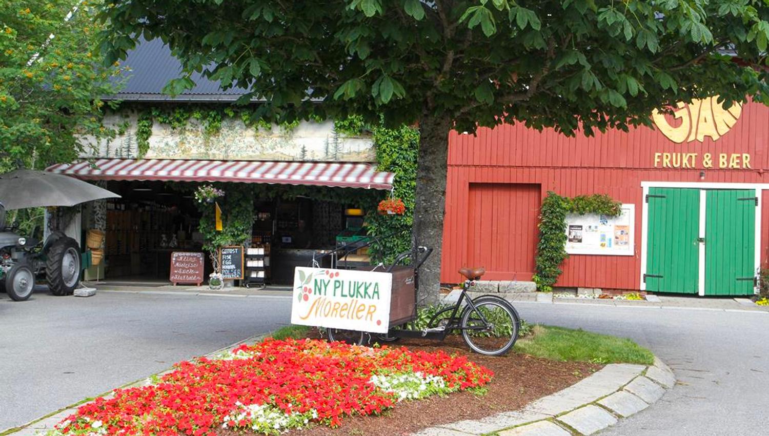Gvarv Frukt & Bær