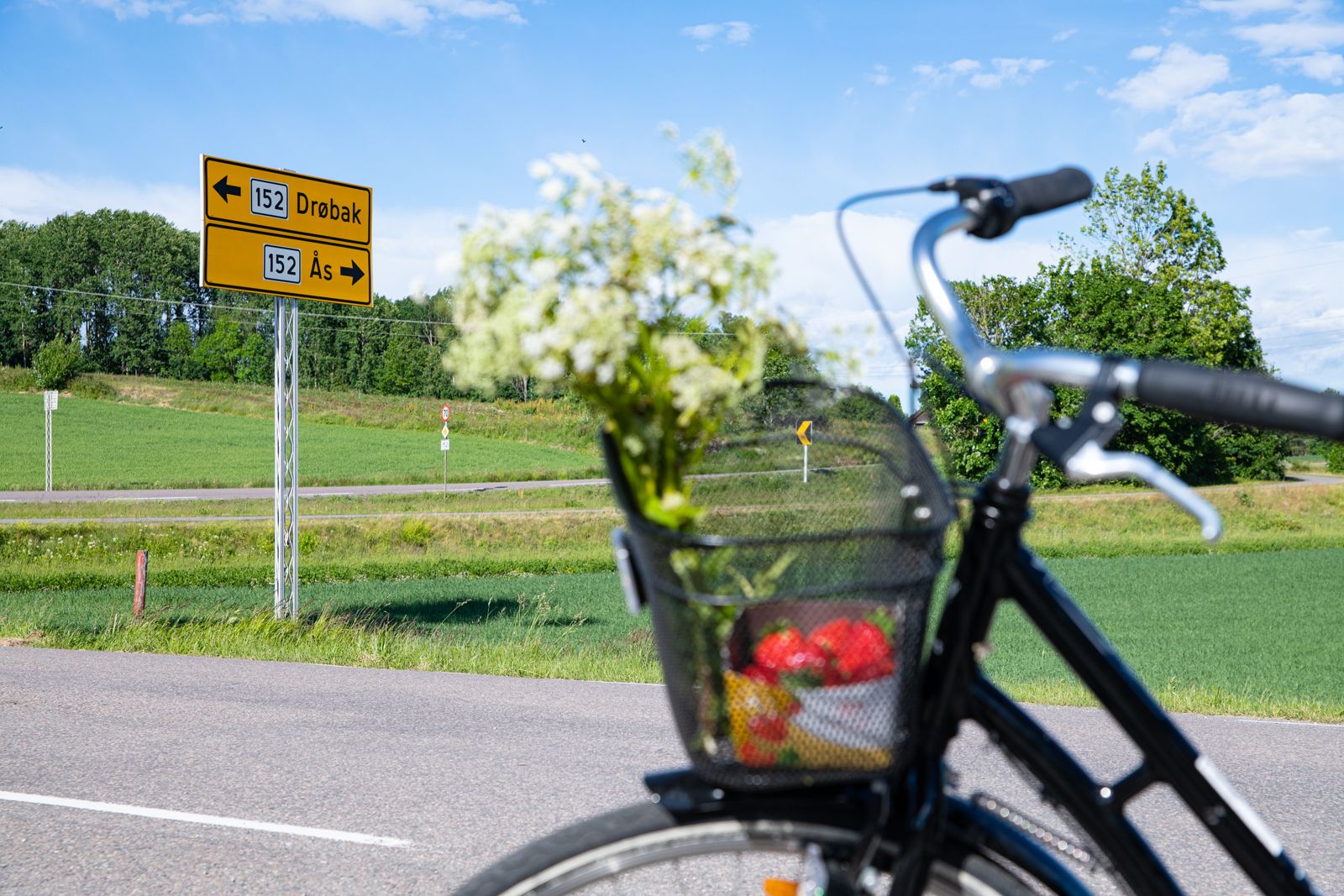 Sykkel med jordbær mellom Ås og Frogn
