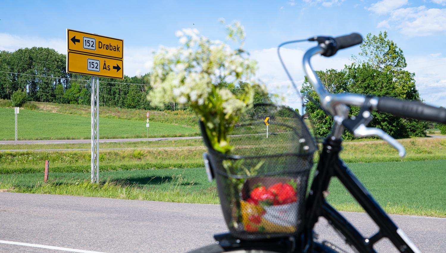 Sykkel med jordbær mellom Ås og Frogn