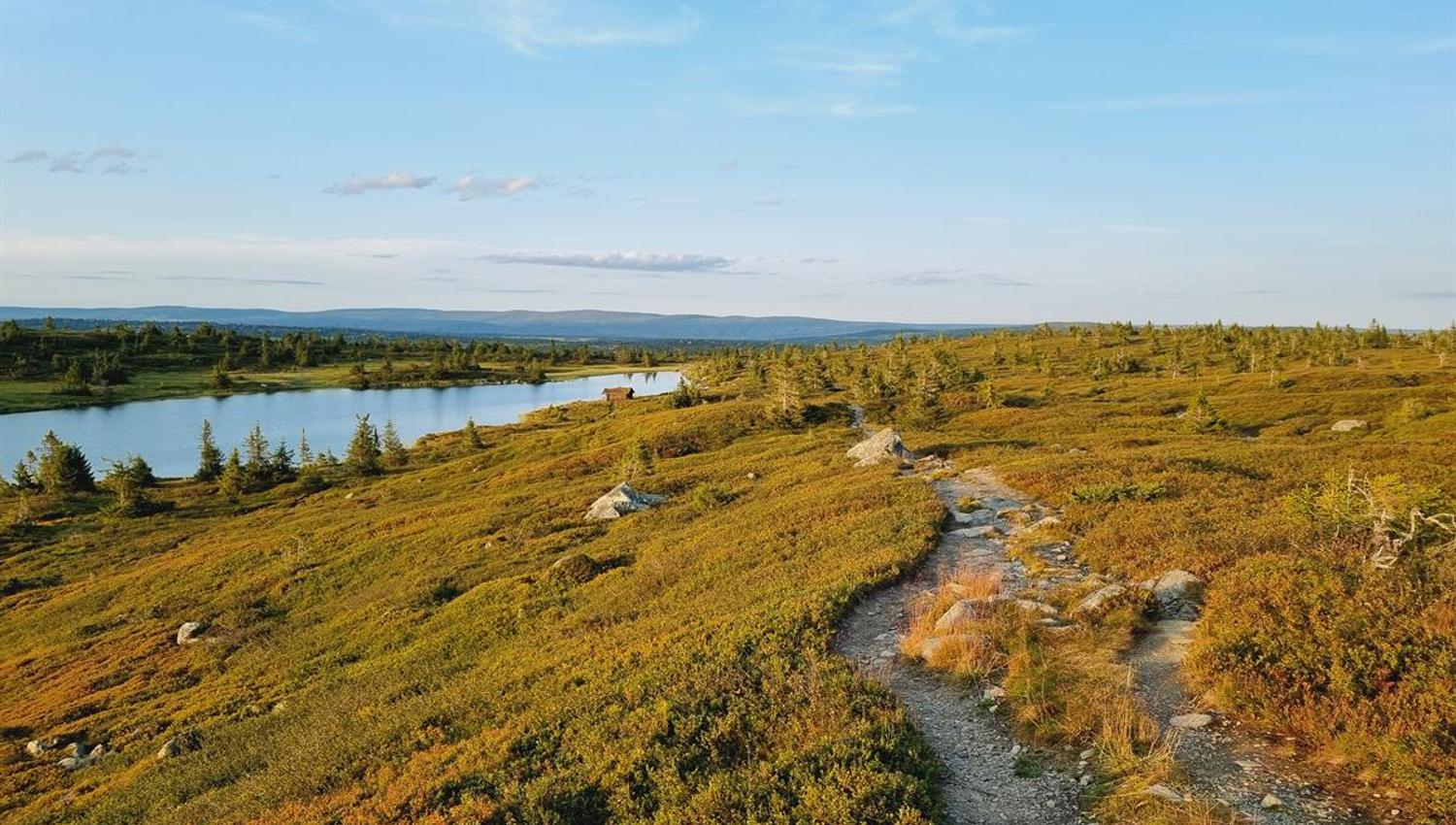 Narrow trail through green landscape with mountains and water