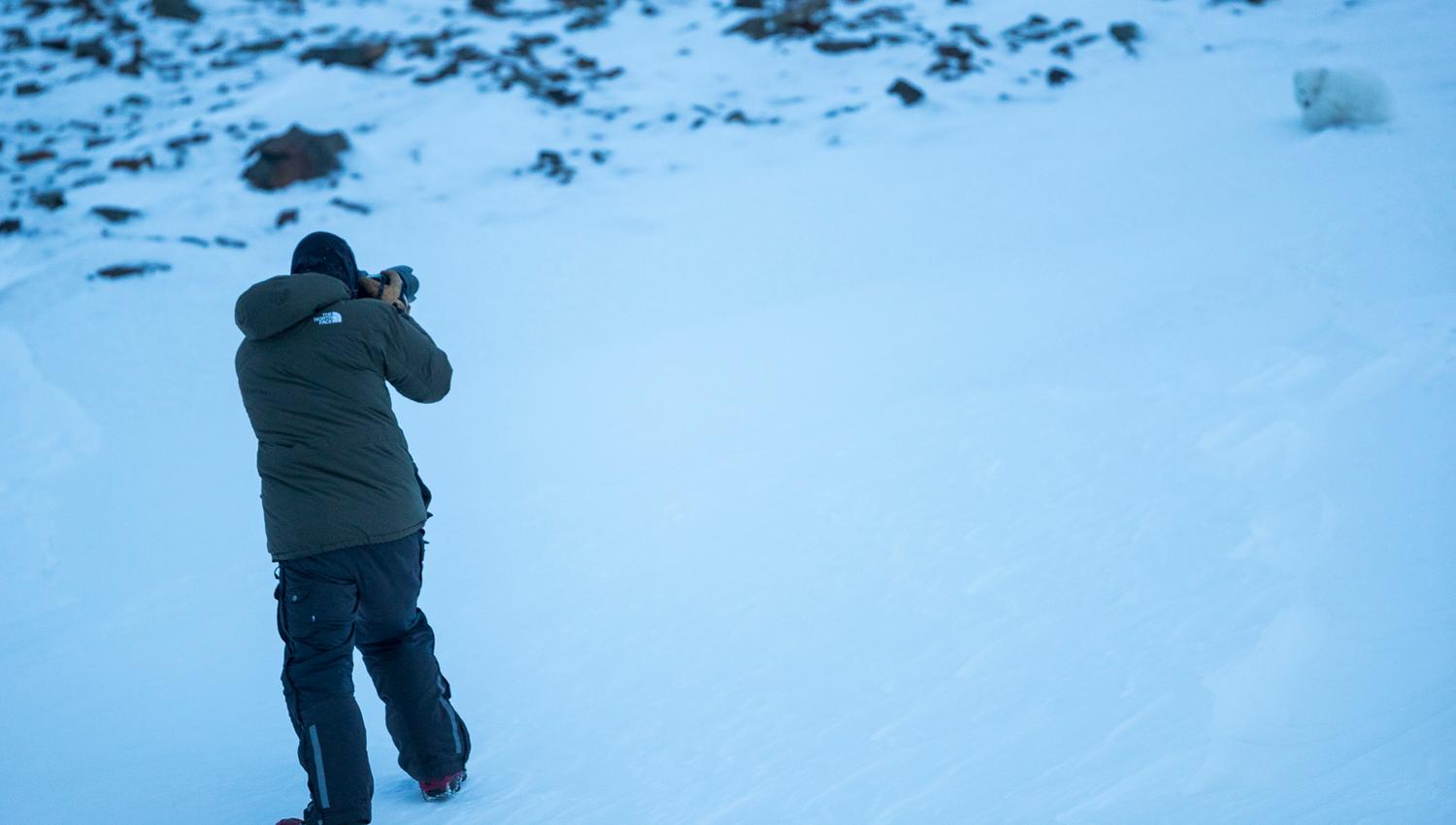 Person standing in the snow photographing a white polar fox