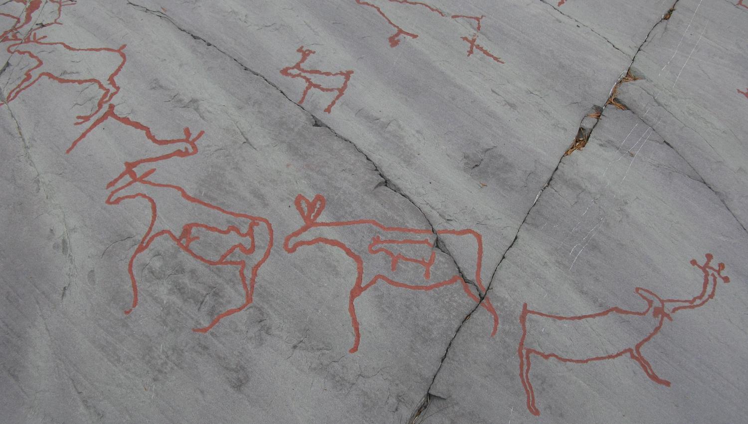Descubre antiguos grabados rupestres que representan ciervos en esta impresionante superficie de roca gris. Estas expresiones artísticas nos conectan con la historia y la cultura de los pueblos que habitaron la región.