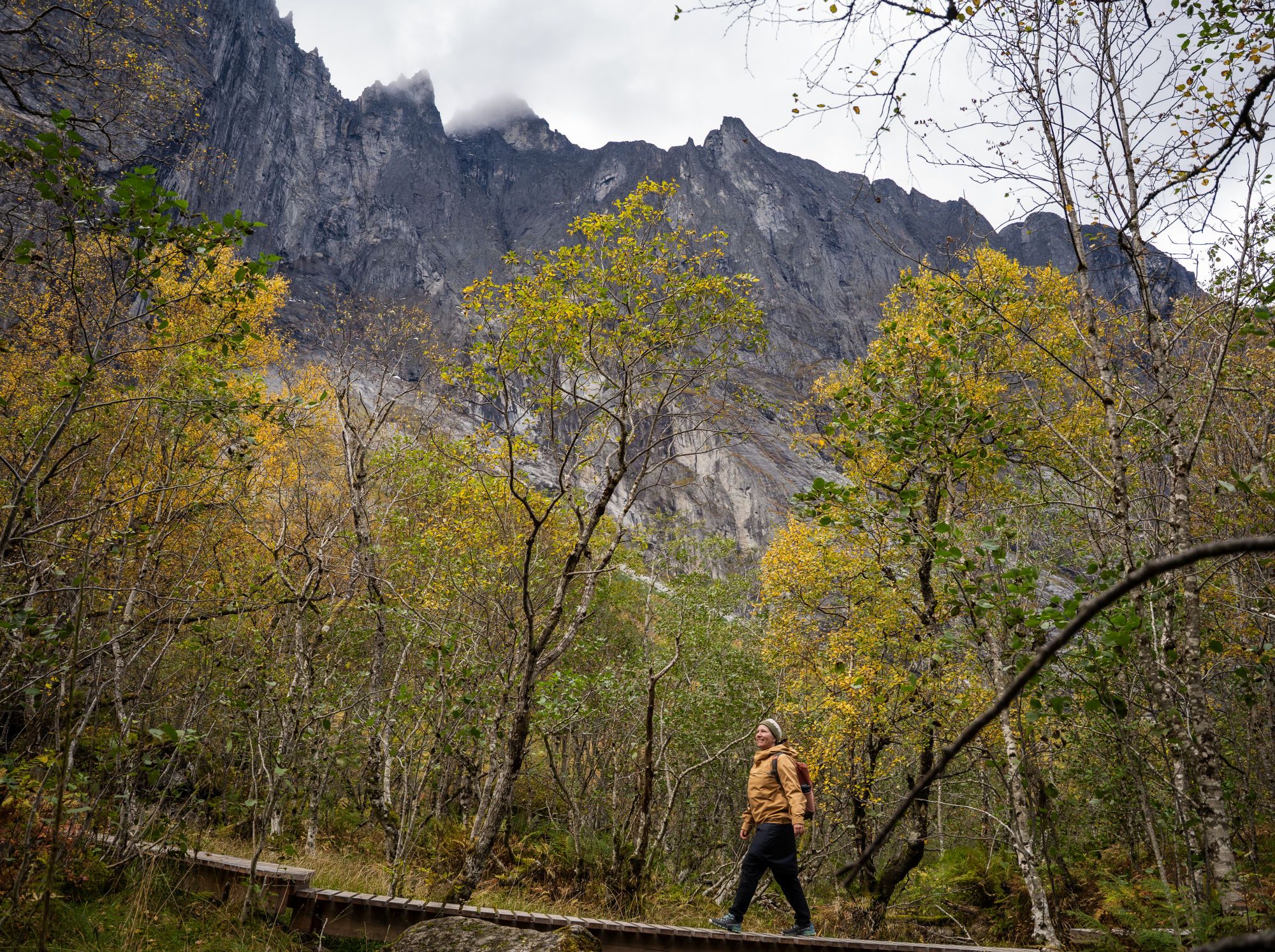 The path winds through birch forest with Trollveggen rising behind you.