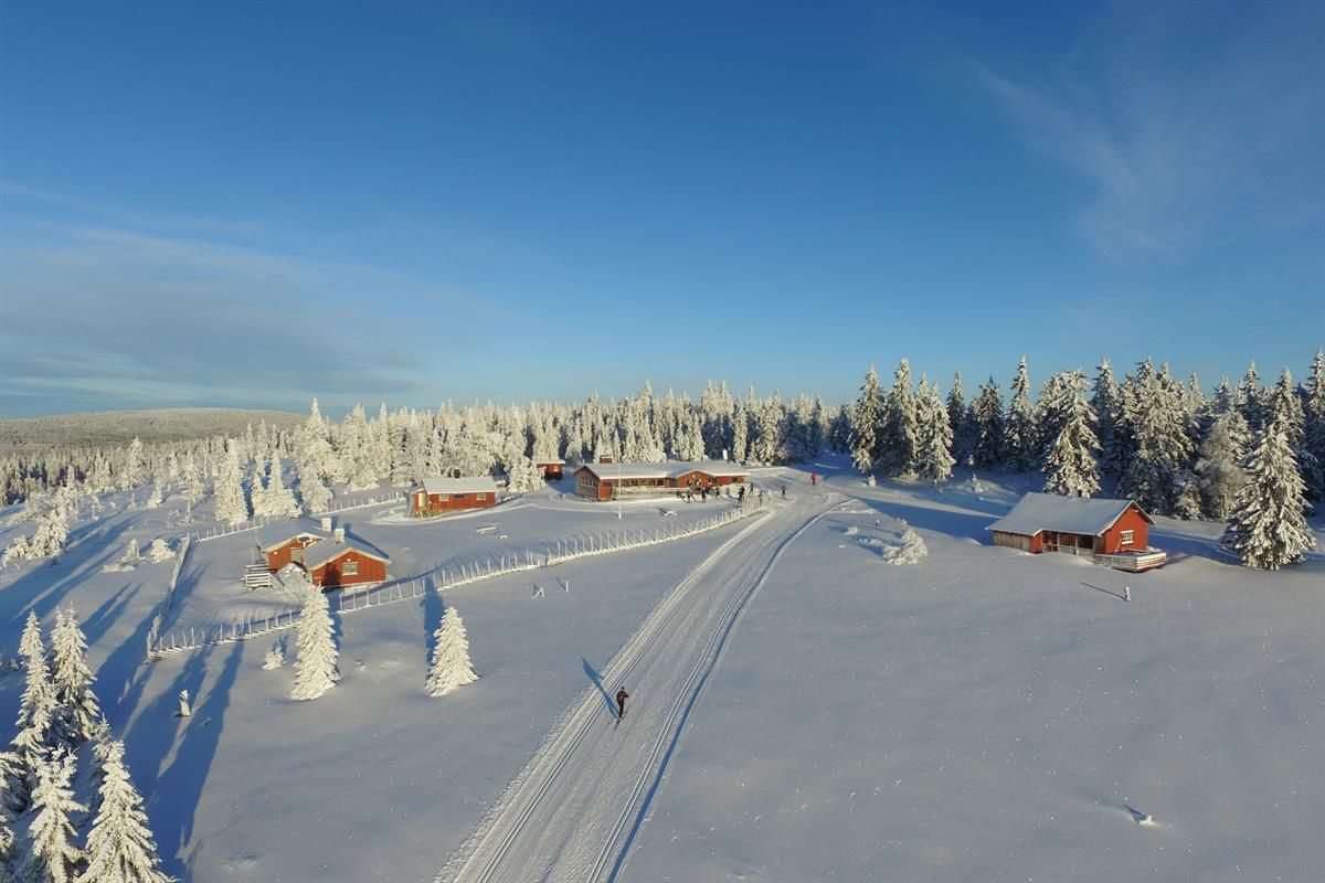 A cluster of cabins in a snow‑covered mountain area, surrounded by groomed ski trails and winter-clad trees.