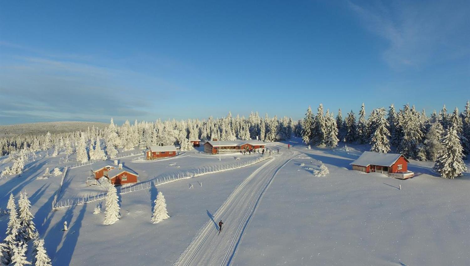 A cluster of cabins in a snow‑covered mountain area, surrounded by groomed ski trails and winter-clad trees.