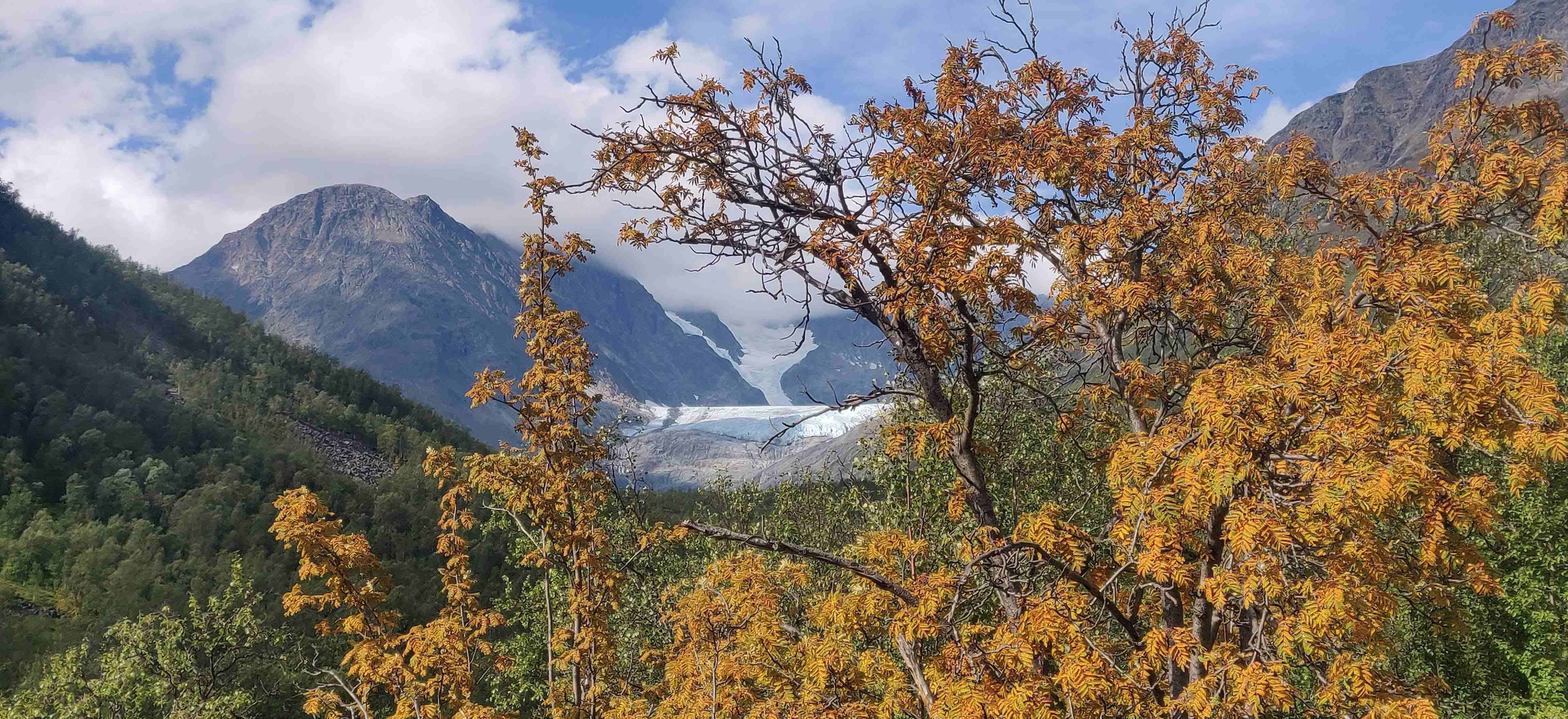 Trees and mountains covered with autumn colours(yellow and orange).