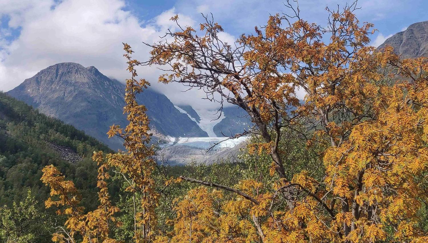 Trees and mountains covered with autumn colours(yellow and orange).