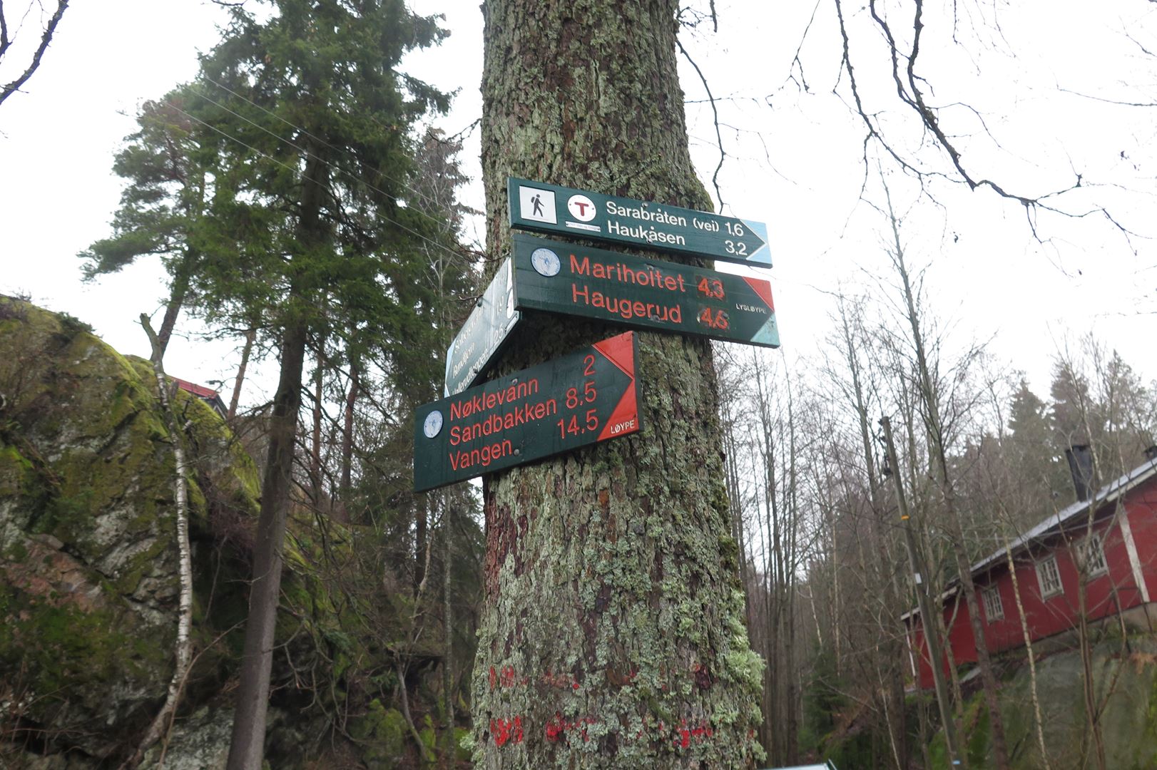 signs showing different foot paths