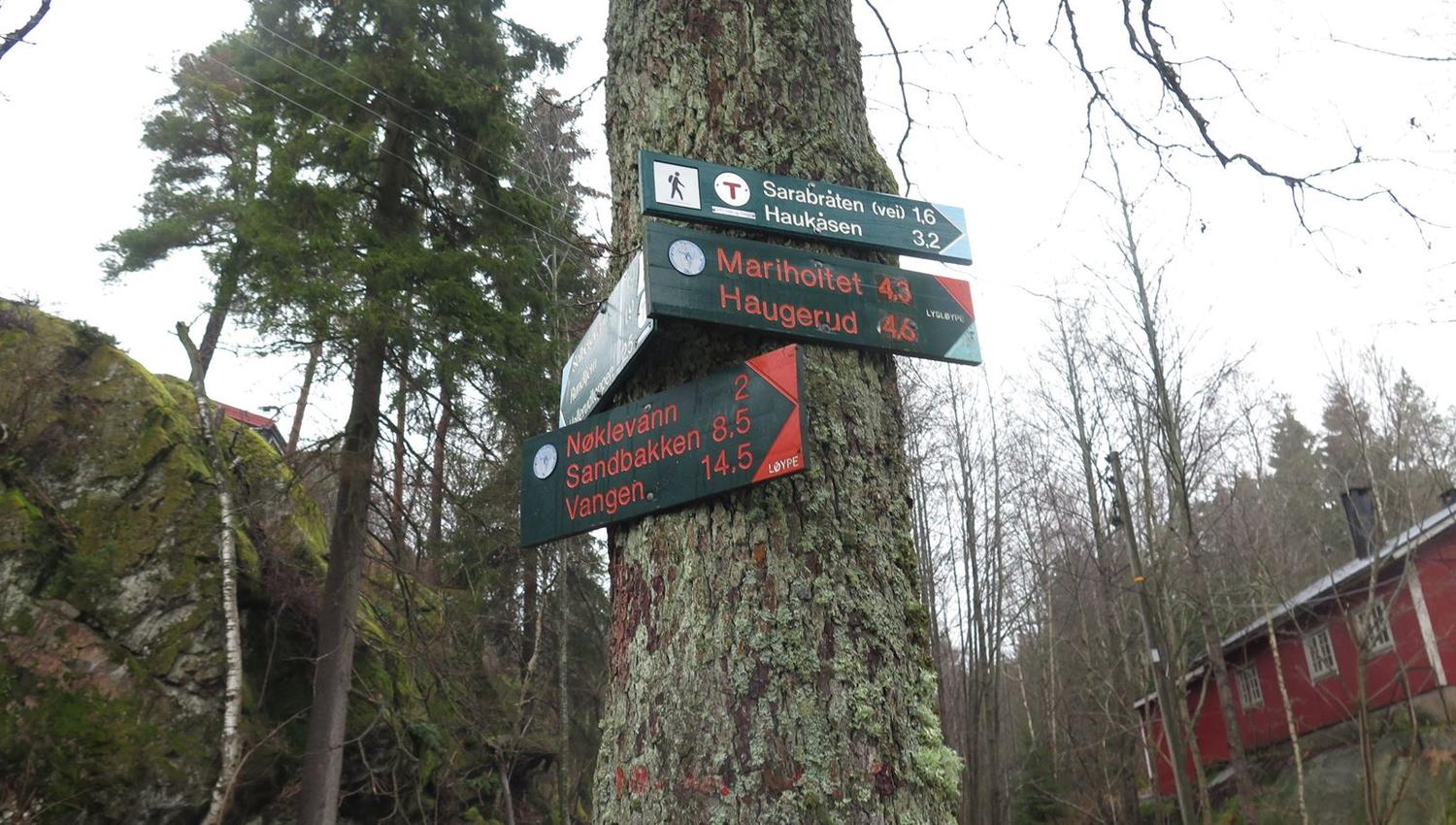 signs showing different foot paths