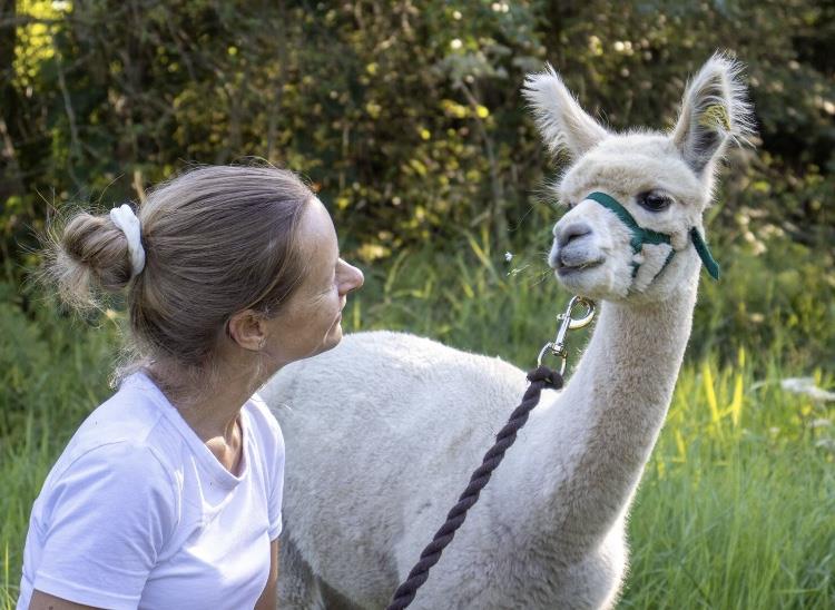Lady and alpaca