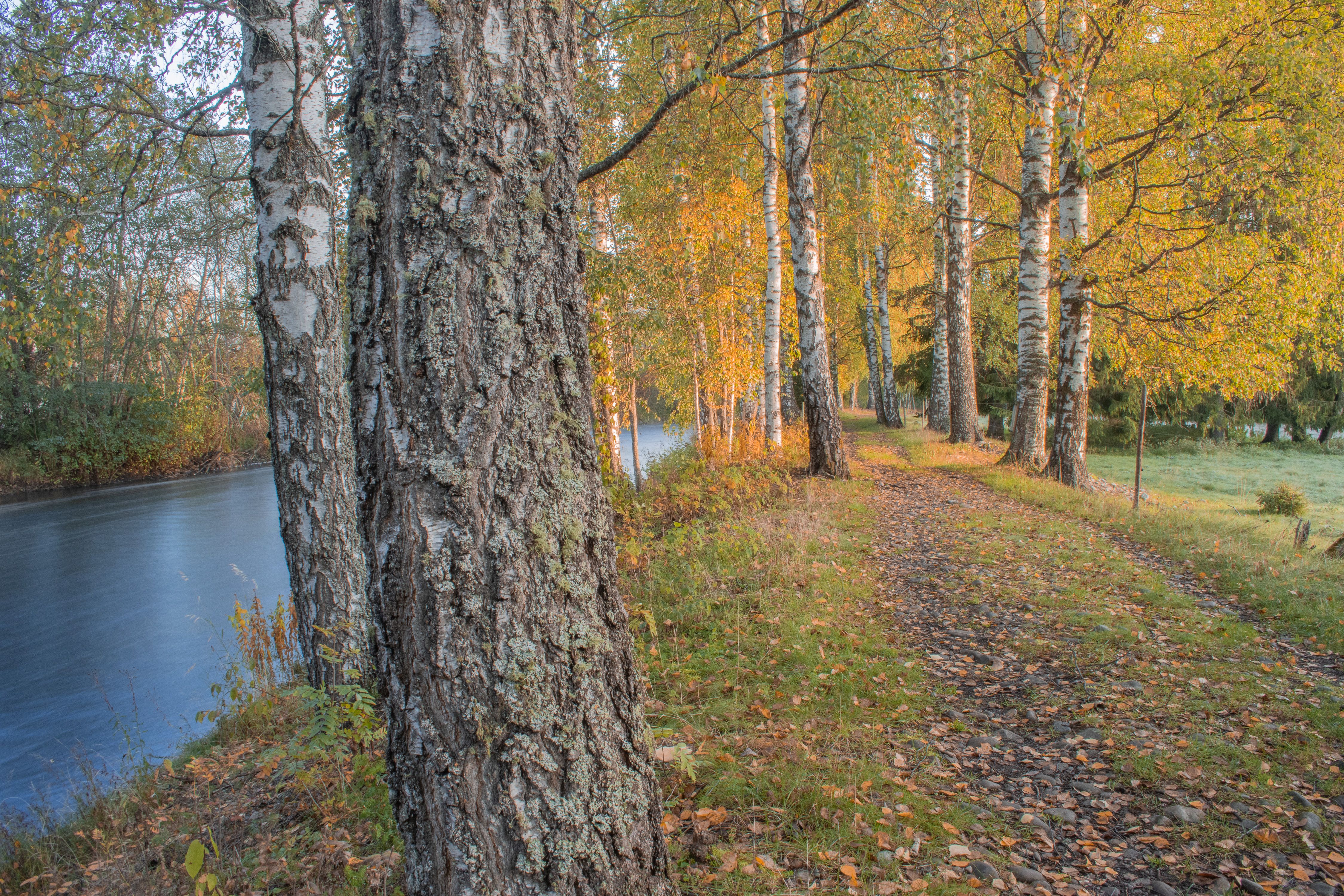 ilsengstiene23