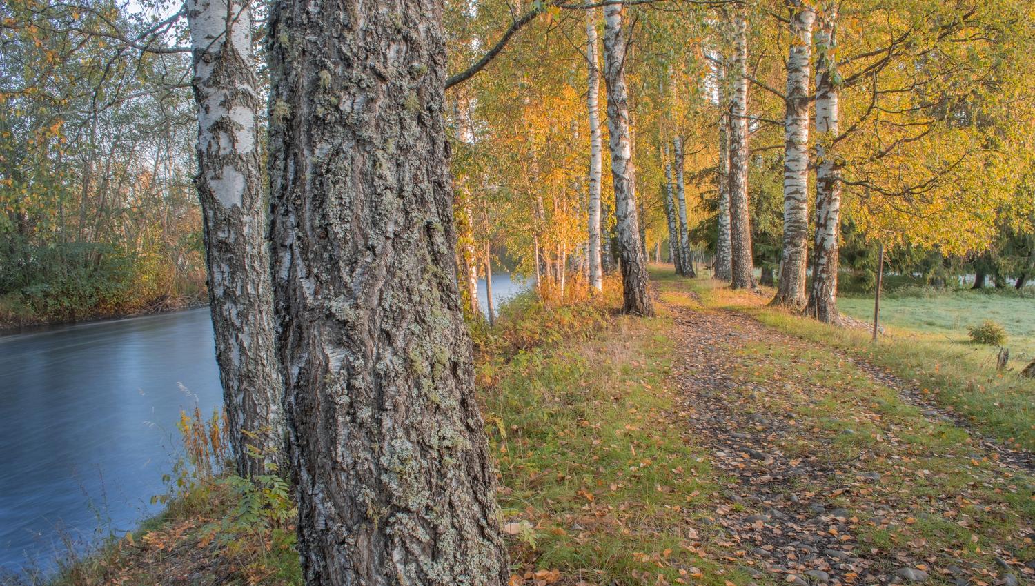 ilsengstiene23