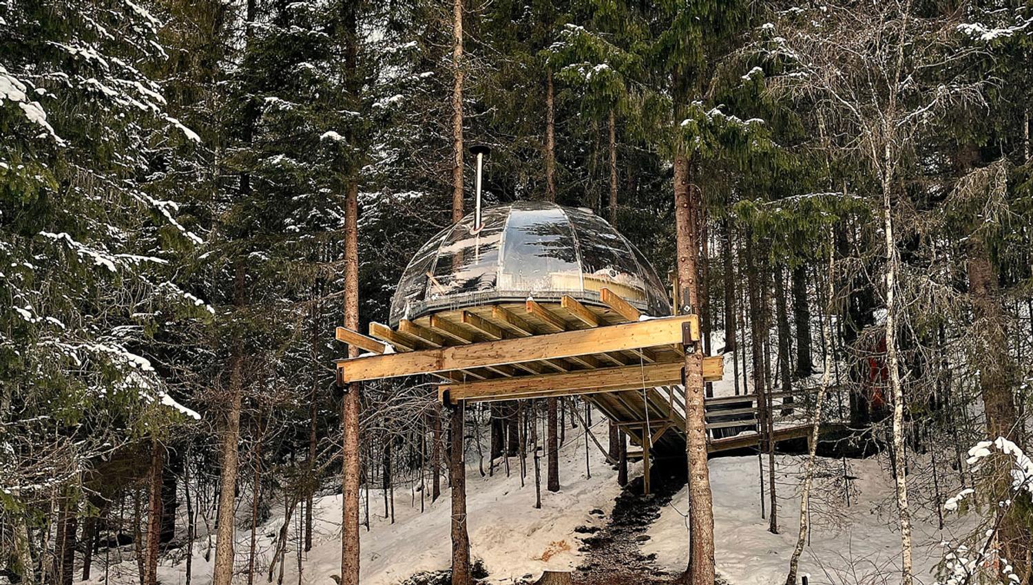 Tretoppiglo ved Lårdalselva i Dalen om vinteren