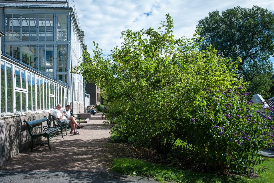 Seating areas in the botanical garden
