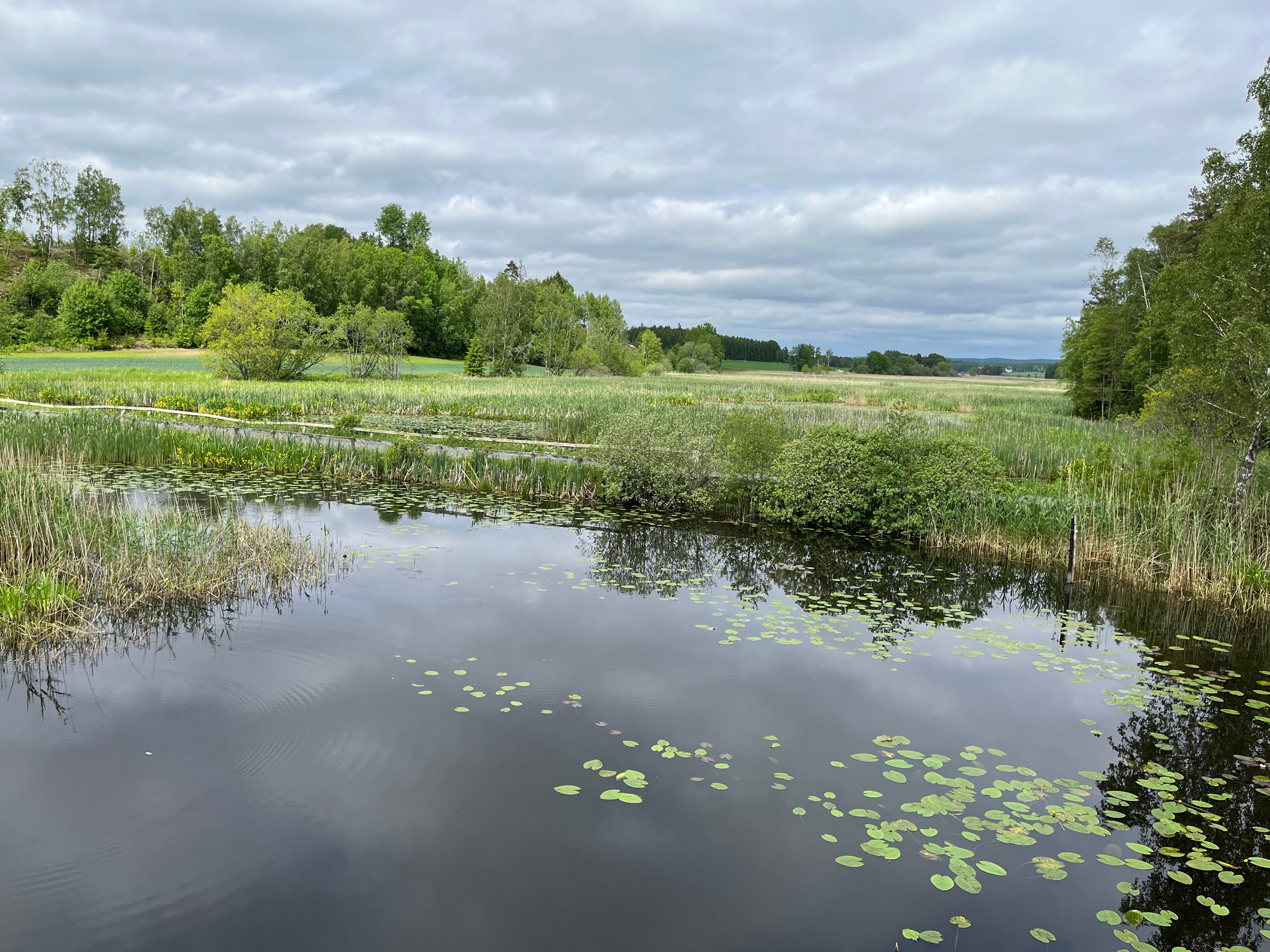 lake 