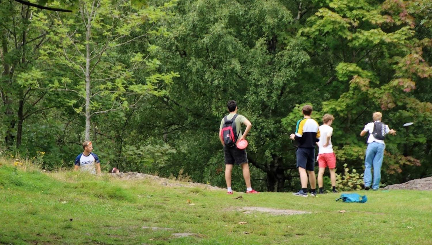 Discgolf, freesbeegolf, aktivitet, utendørs
