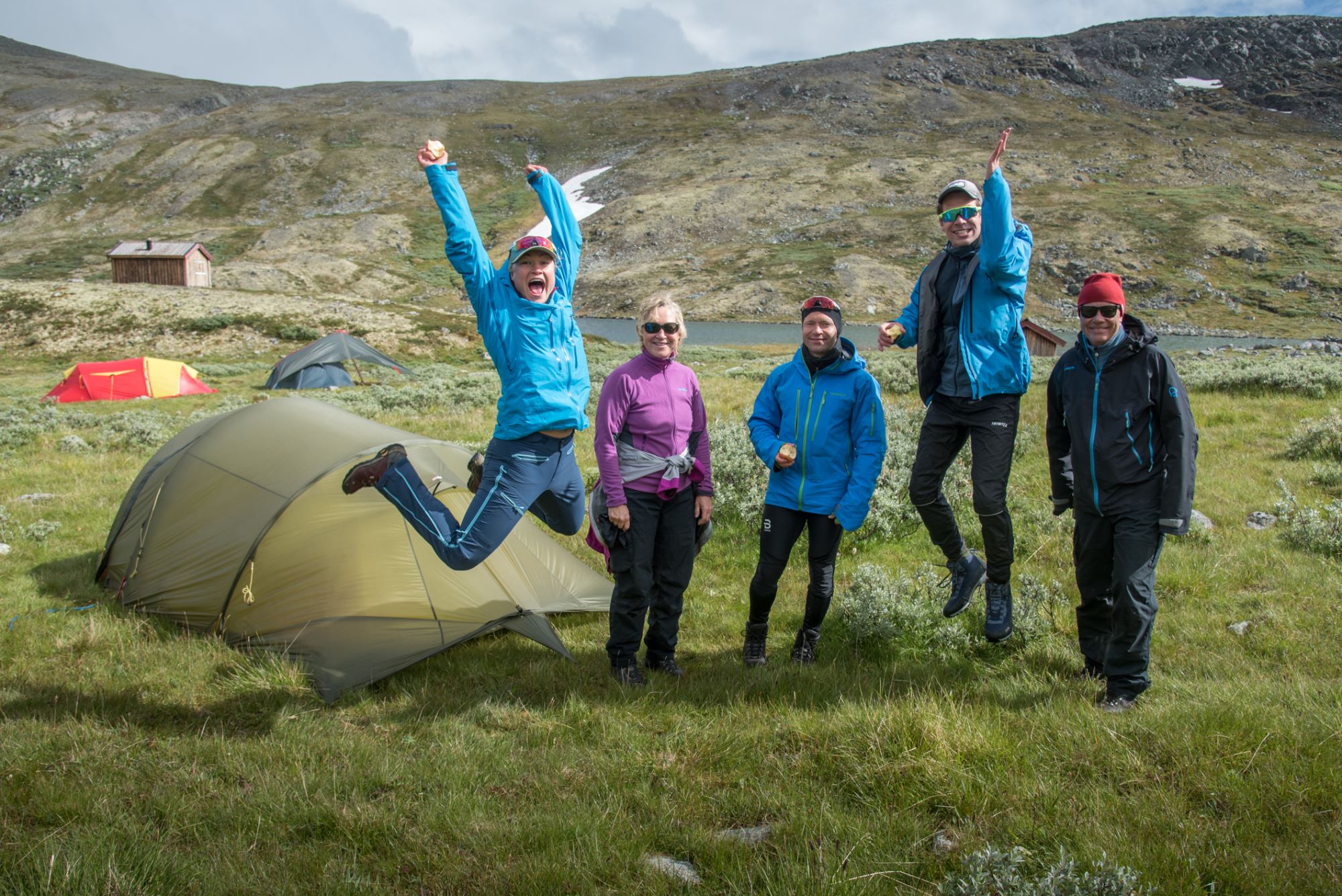 Musk Ox Safari Personal Tour, 2 days