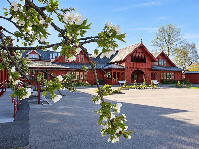 Branches with white spring blossoms framing the historic red wooden spa building and courtyard in Sandefjord.