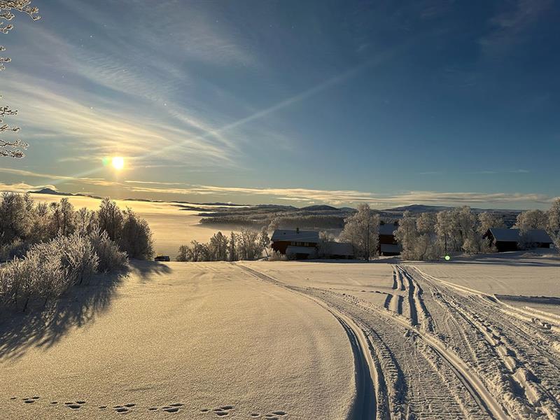 winter landscape