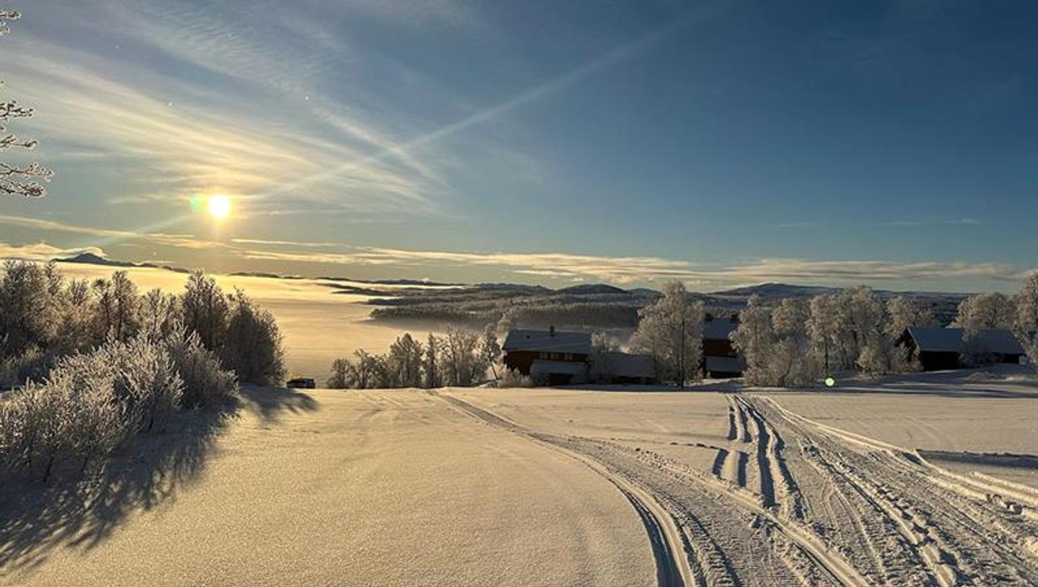 winter landscape