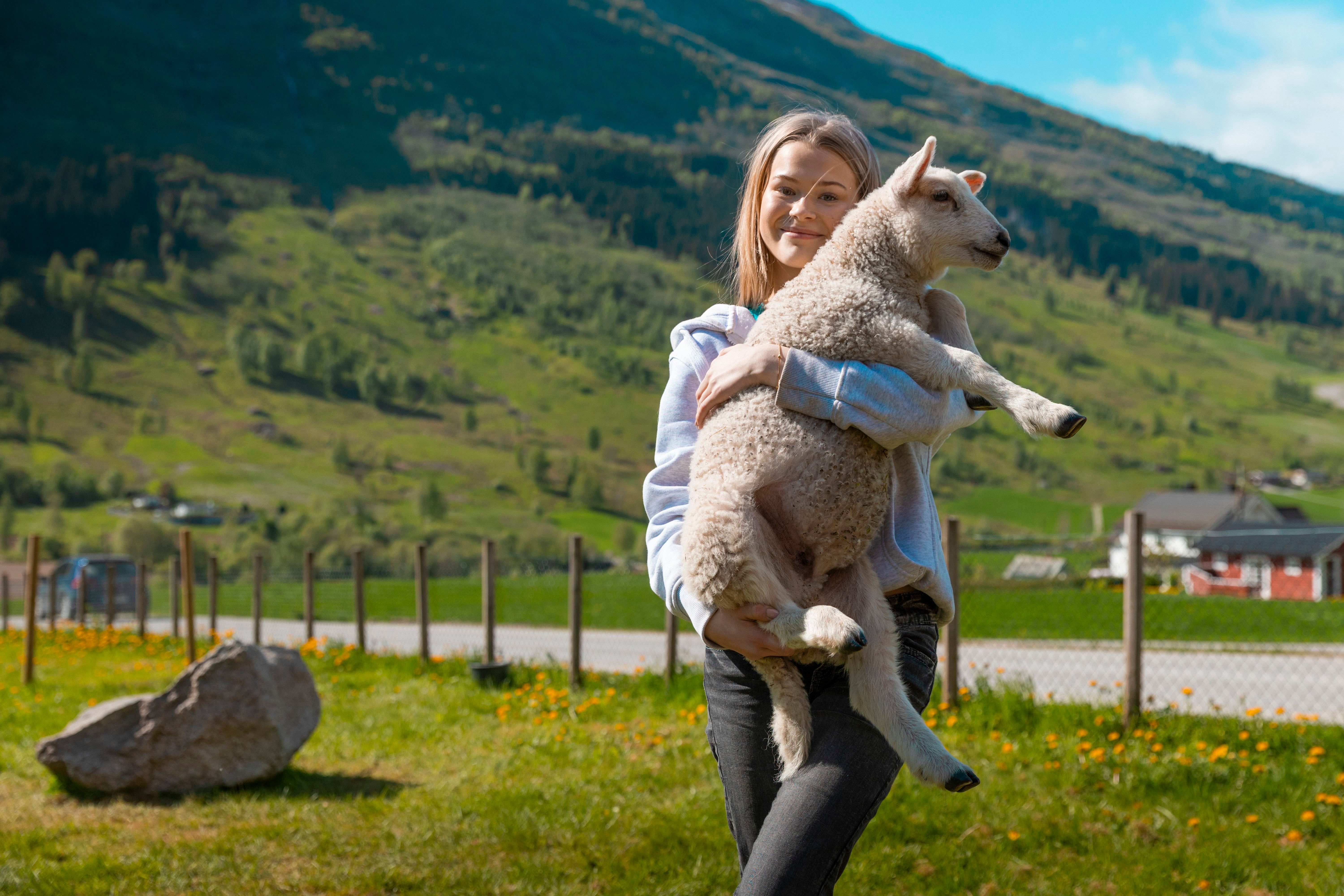 Person in a gray hoodie holds a young lamb outdoors in a grassy field with fences, houses, and green mountains behind.