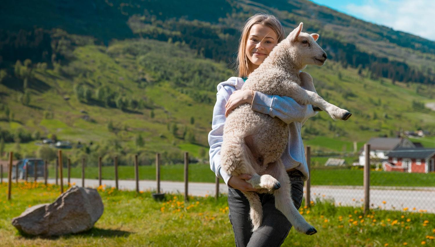Person in a gray hoodie holds a young lamb outdoors in a grassy field with fences, houses, and green mountains behind.