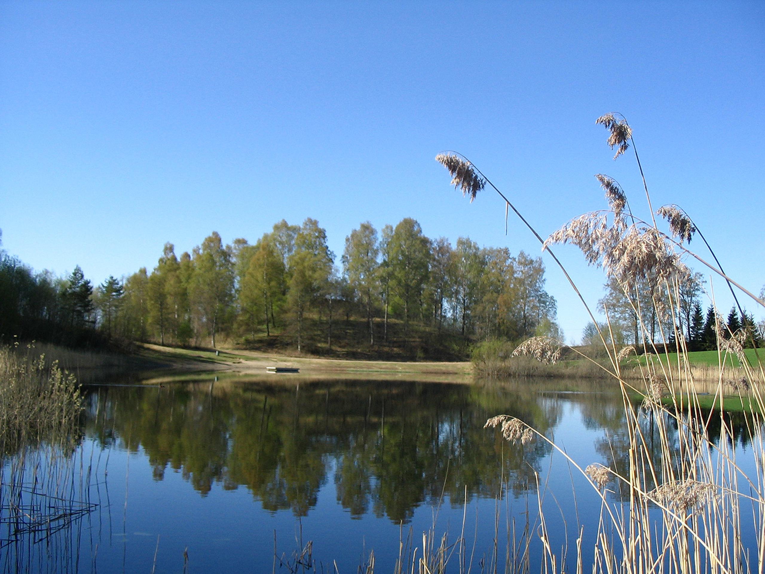 Raknehaugen