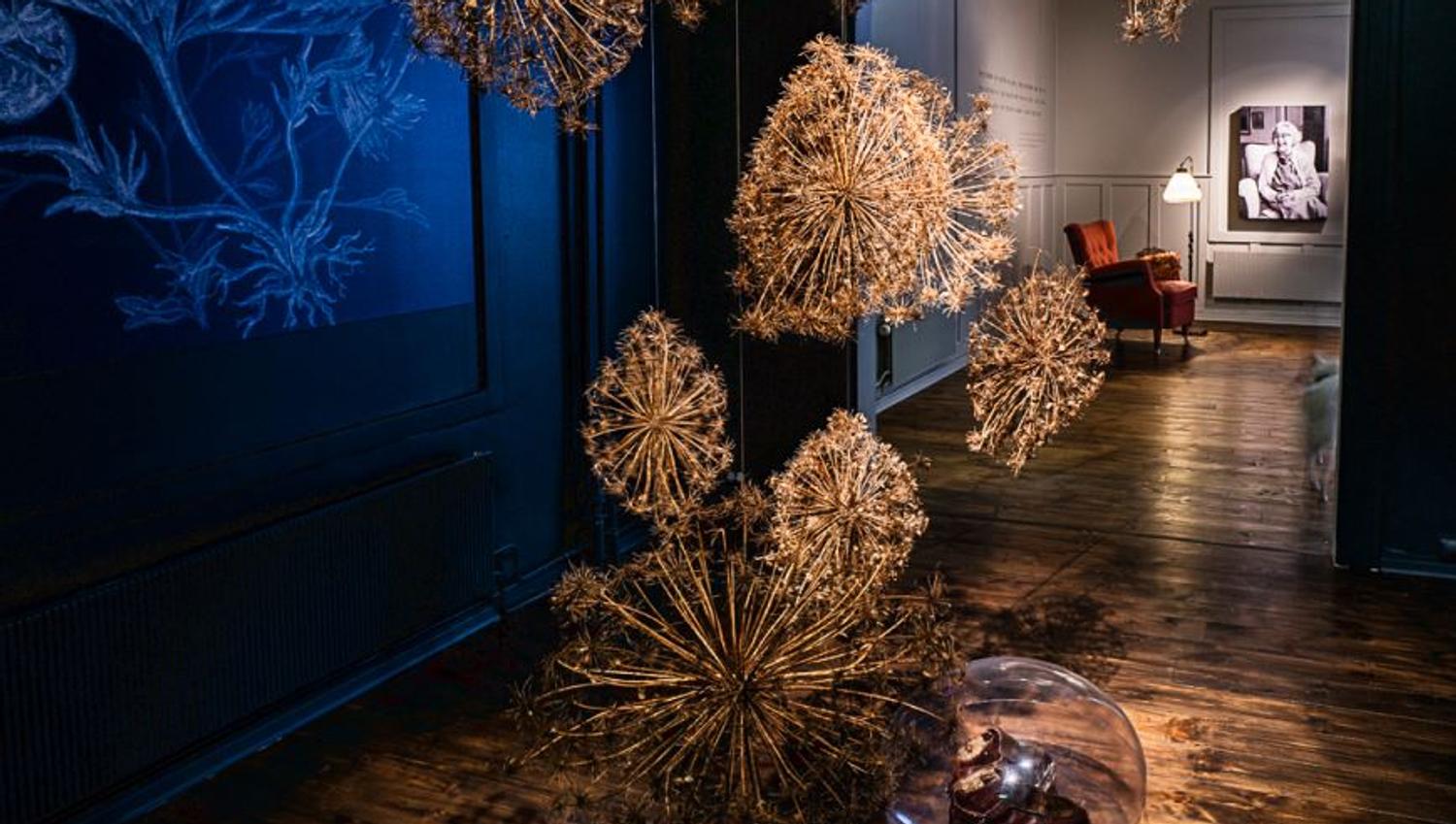 Exhibition in the Perspektivet Museum.