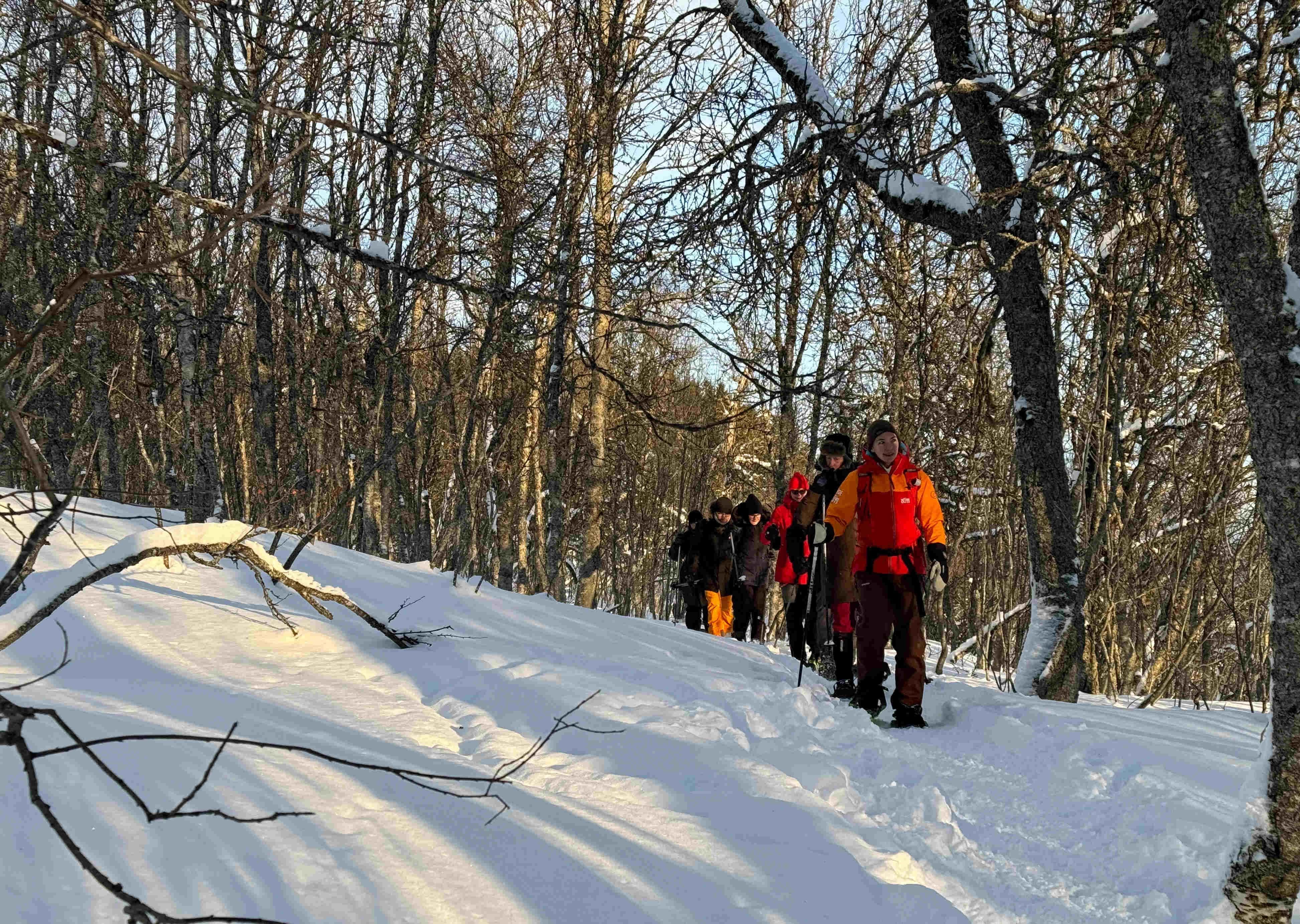Guider gjestene gjennom skogen