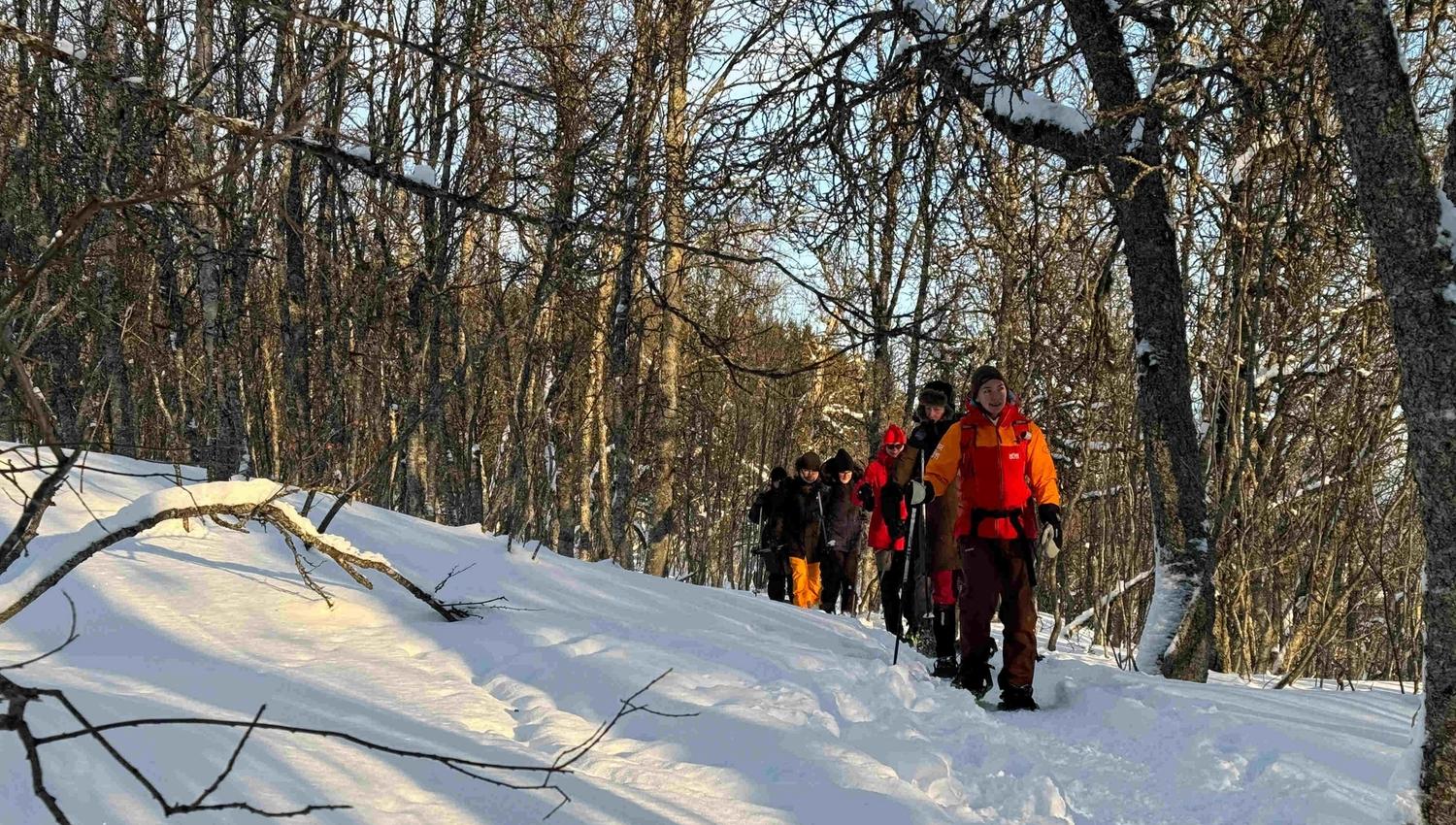 Guider gjestene gjennom skogen