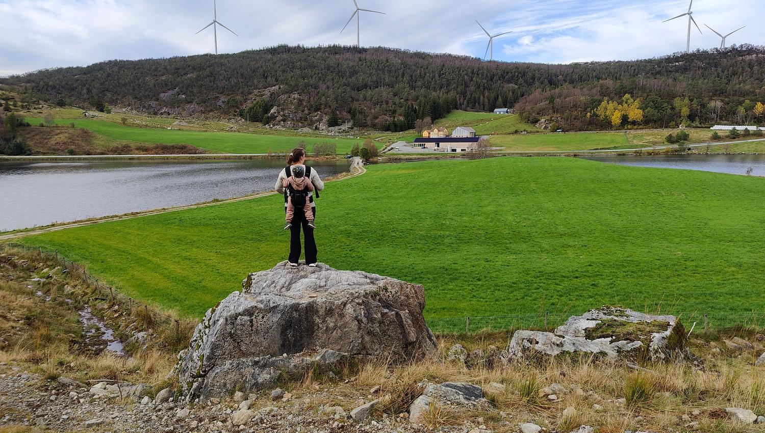 Nyyyt, Røysland Gård
