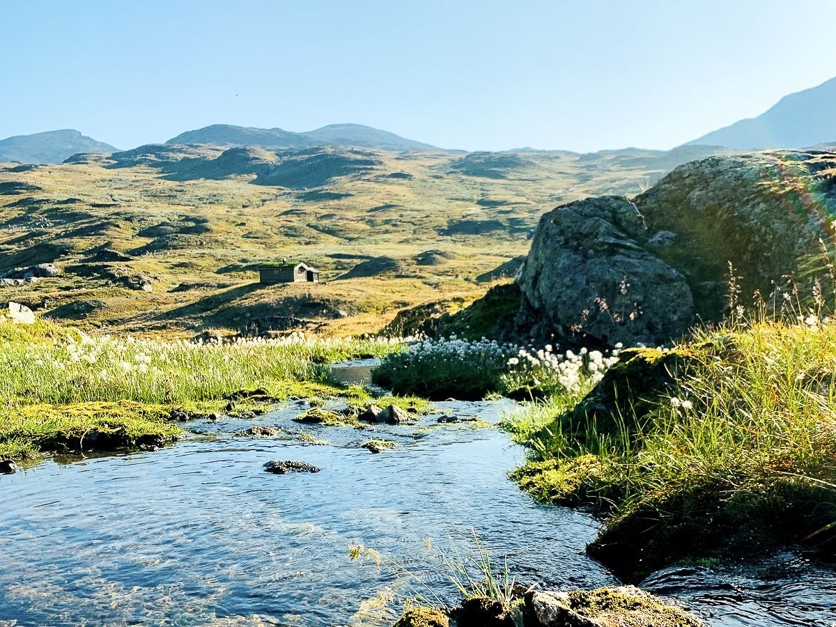 A clear stream runs through grassy moorland with rocks and wildflowers, with a small cabin and mountains beyond..