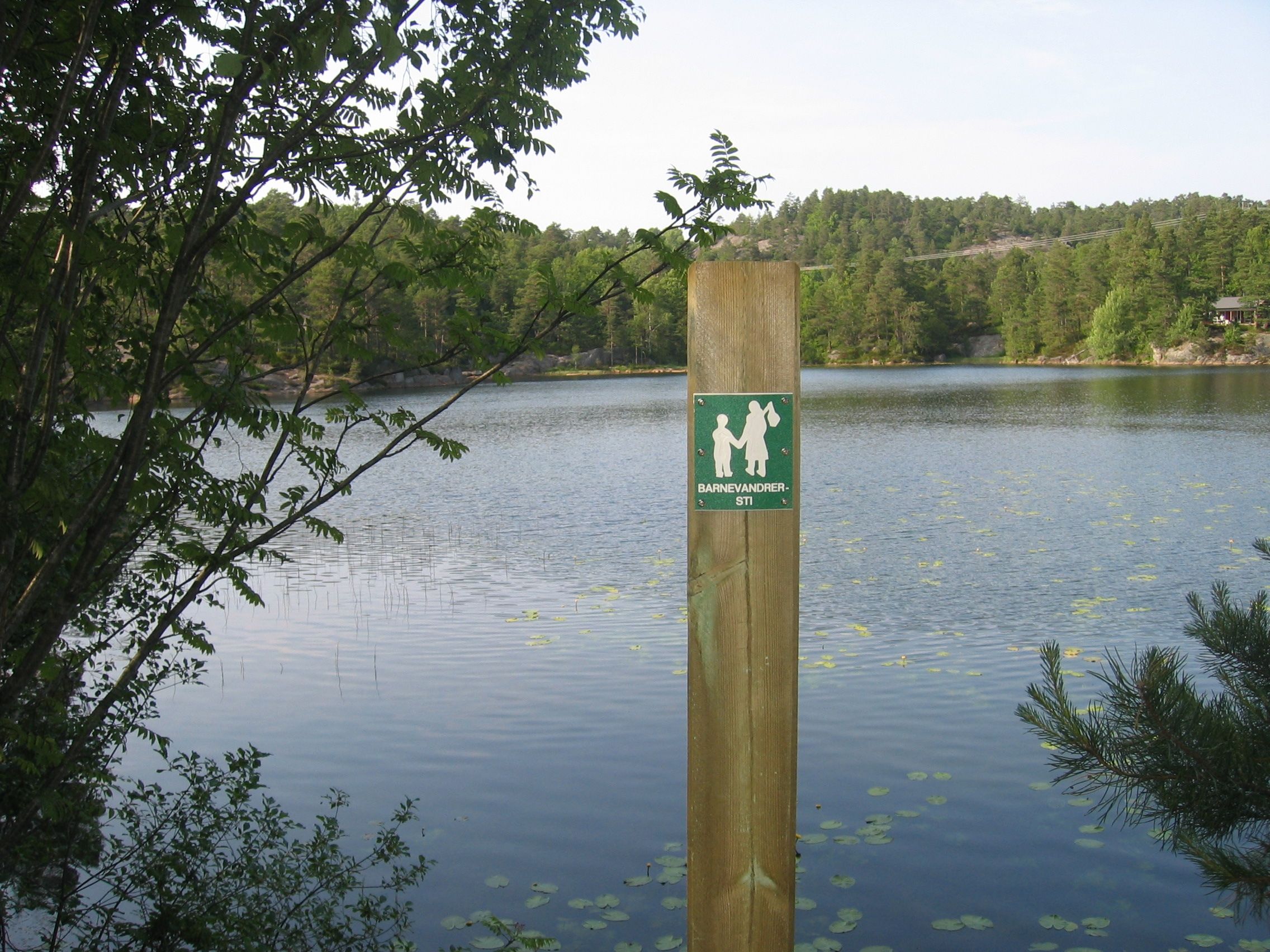 Kvislevann med barnevandrerskilt