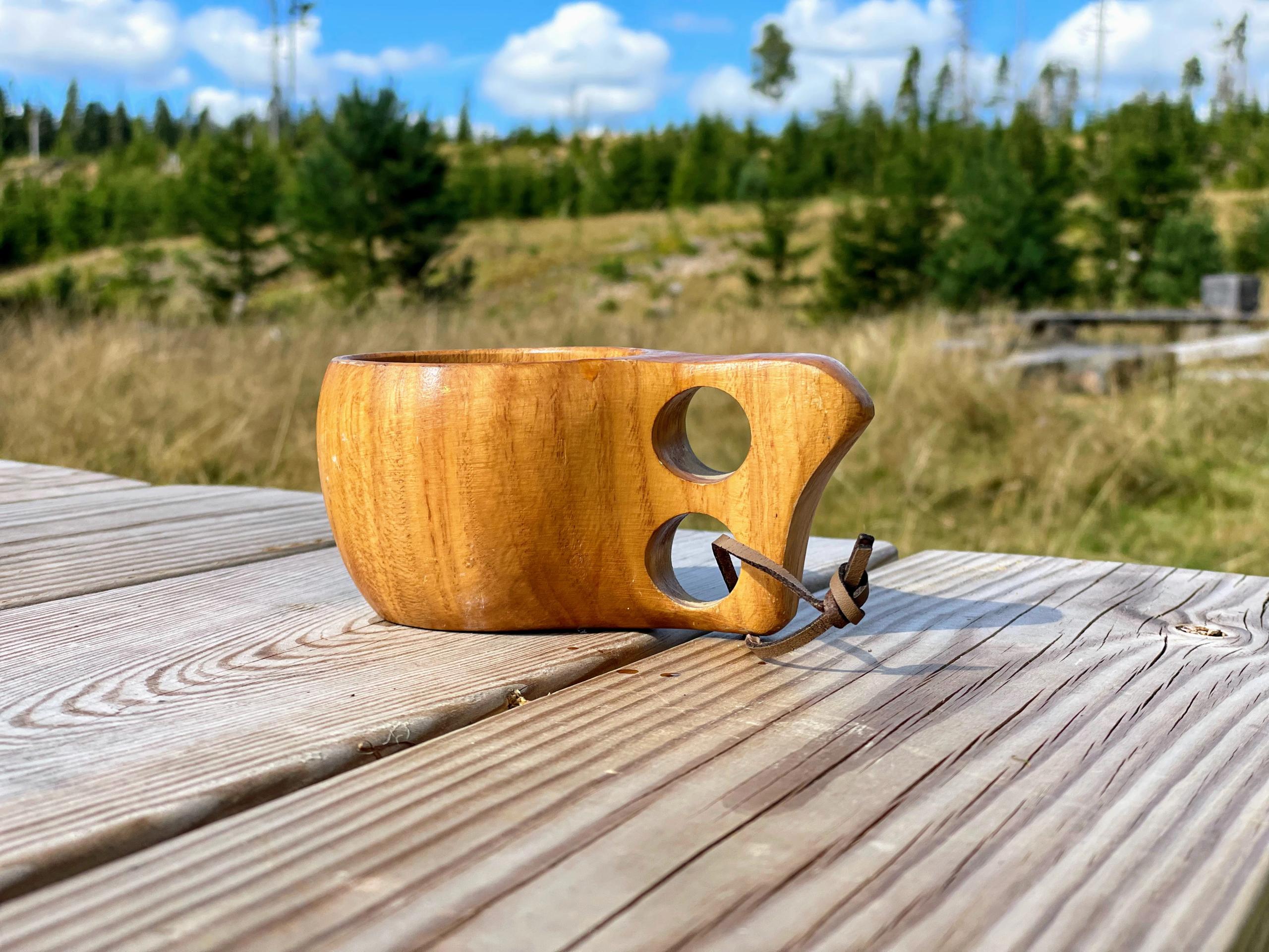 Rasteplass i skogen