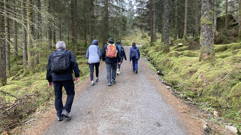 Sie wandern auf Schotterwegen und schönen Pfaden